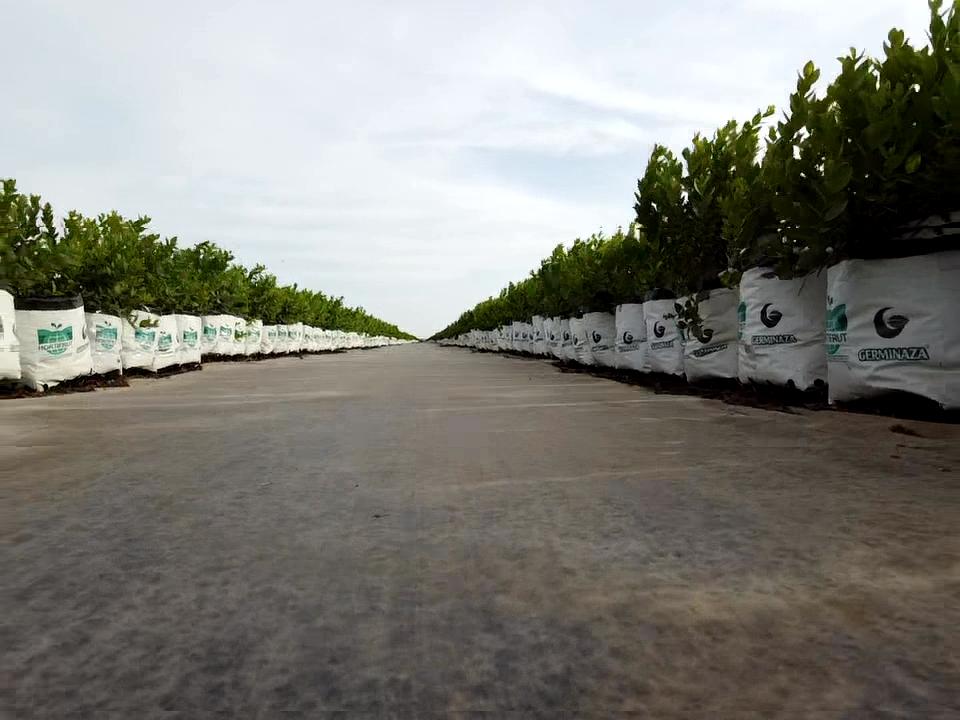 33fd7815-fa38-4701-ac37-807da21740a8