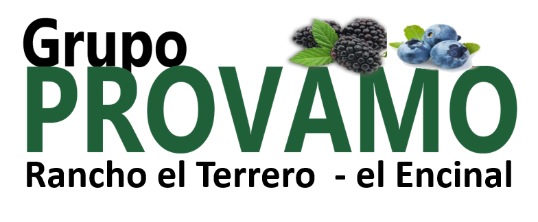 provamo promocionales