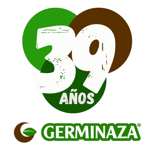 39 años transparente